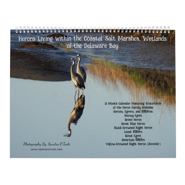 Wildlife Calendar, Waterbirds, Herons Kalender (Omslag)