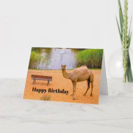 Wildlife Camel Oasis Photo Birthday Kort