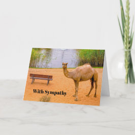 Wildlife Camel Oasis Photo Sympathy Kort