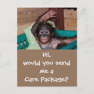 Wildlife Care Paket Vykort