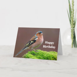 Wildlife Chaffinch Photo Birthday Kort