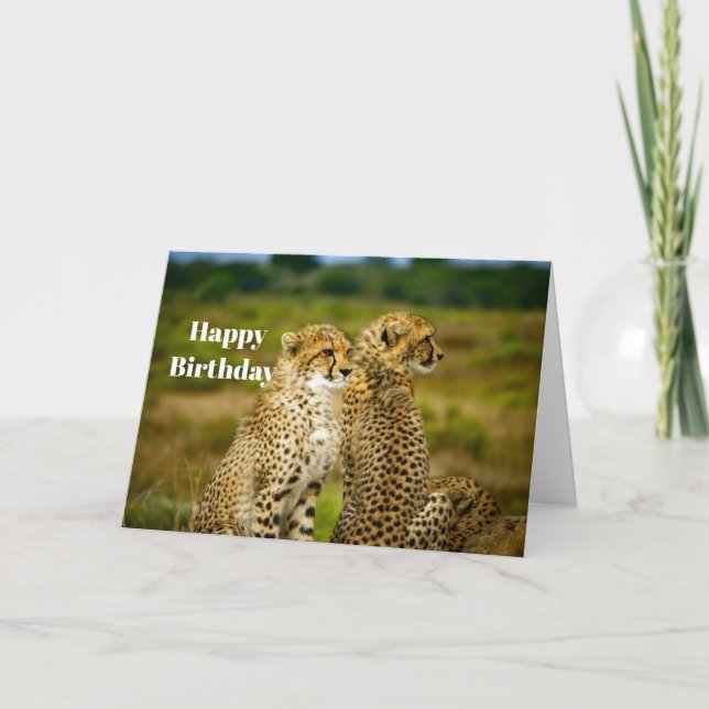 Wildlife Cheetah Photo Birthday Kort (Framsida)