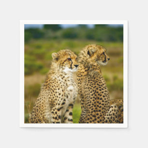 Wildlife Cheetah Photo Pappersservett