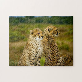 Wildlife Cheetah Photo Pussel