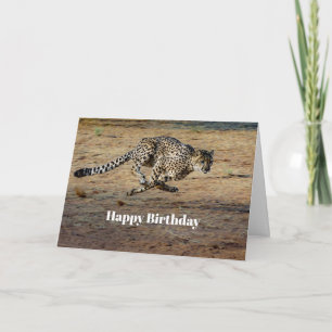 Wildlife Cheetah Running Photo Birthday Kort