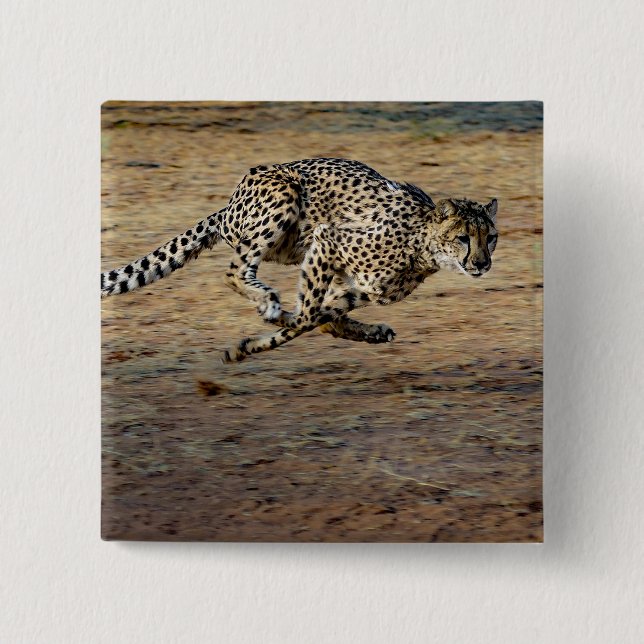 Wildlife Cheetah Running Photo Knapp (Framsida)