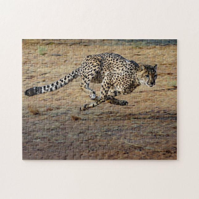 Wildlife Cheetah Running Photo Pussel (Horisontell)