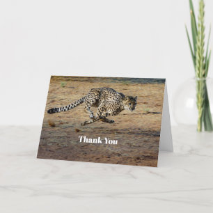 Wildlife Cheetah Running Photo Tack Kort