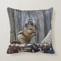 Wildlife Chipmunk Animal Photo