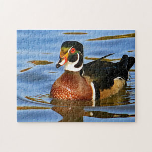 Wildlife Colorful Wood Anka Blue Vatten Photo Pussel