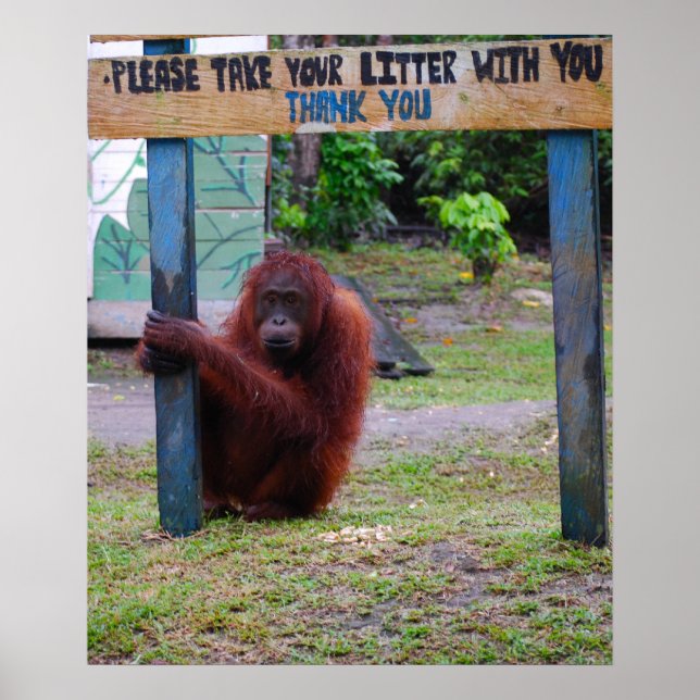 Wildlife Conservation mot Litter och Sopor Poster (Framsidan)