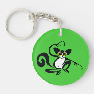Wildlife-Coola AYE-AYE-Primate - lemur