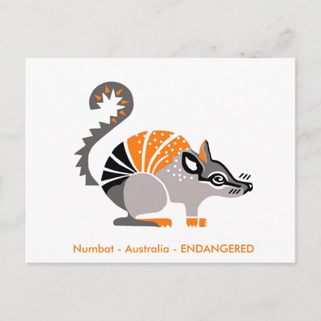 Wildlife - Coola NUMBAT - Marsupial - Australien Vykort (Framsida)