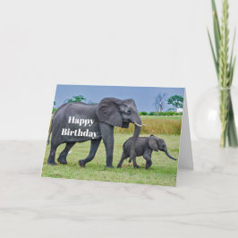 Wildlife Elephant Calf Photo Birthday Kort
