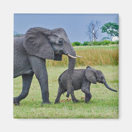 Wildlife Elephant Calf Photo Magnet