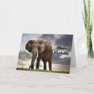 Wildlife Elephant Photo Birthday Kort
