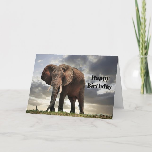 Wildlife Elephant Photo Birthday Kort (Framsida)