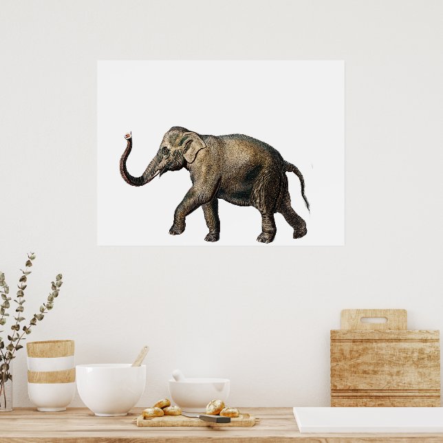 Wildlife Elephant Poster (Kök)