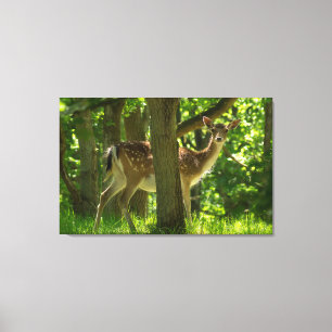 Wildlife Fallow-Hjort i Forest By Träd Canvastryck