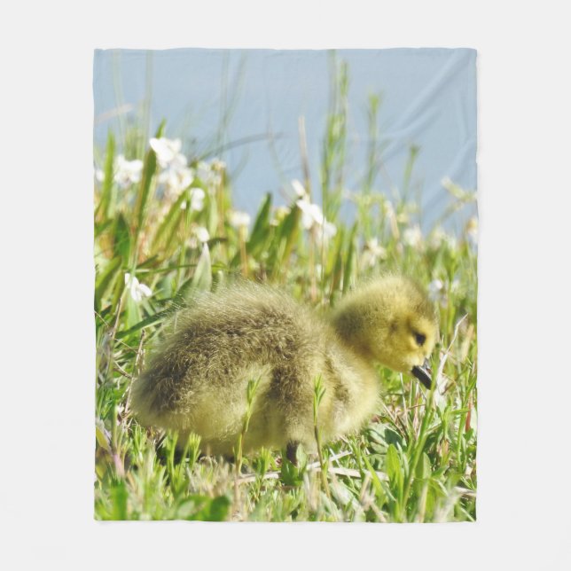 Wildlife filte, ull, gässling, Kanada Goose Fleecefilt (Framsidan)