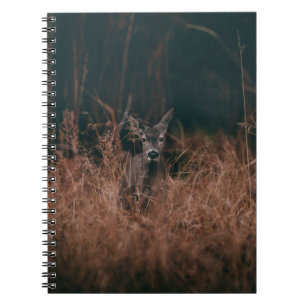 WILDLIFE FOTOGRAFI AV GRÅTT-HJORT SOM OMGES AV GR ANTECKNINGSBOK