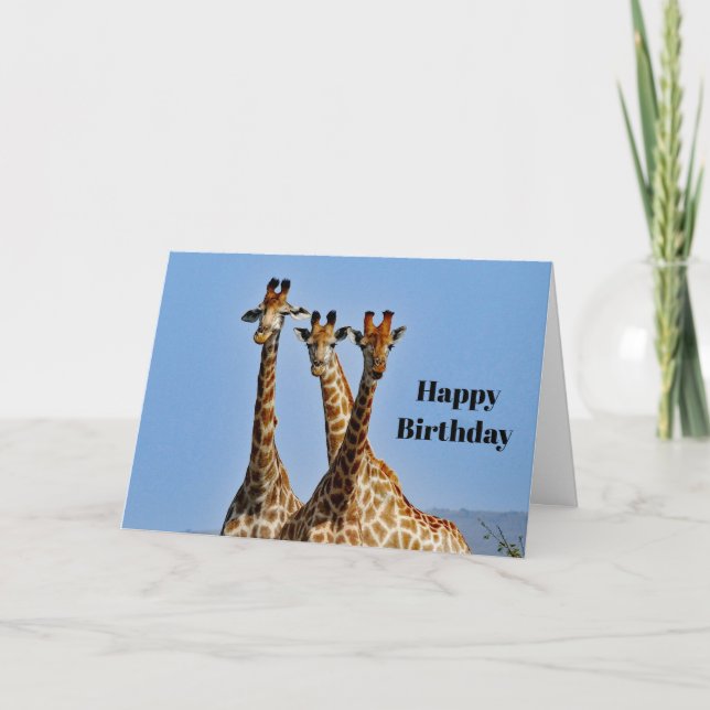 Wildlife Giraffe Herd Photo Birthday Kort (Framsida)