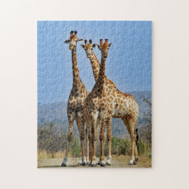 Wildlife Giraffe Herd Photo Pussel