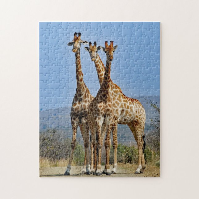 Wildlife Giraffe Herd Photo Pussel (Vertikal)