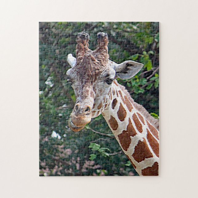 Wildlife Giraffe Photo Pussel (Vertikal)