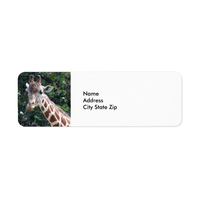 Wildlife Giraffe Photo Returadress Etikett (Framsidan)