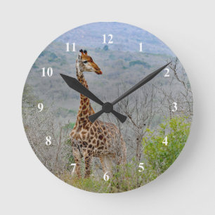 Wildlife Giraffe Savannah Photo Rund Klocka