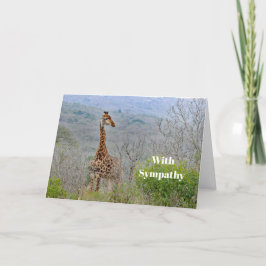 Wildlife Giraffe Savannah Photo Sympathy Kort