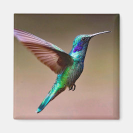 Wildlife Grönt Hummingbird Photo Magnet