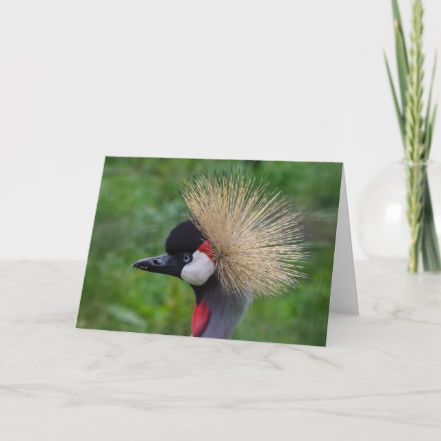 Wildlife hälsning kort, tomt inuti. kort (Framsida)