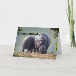Wildlife Hippo Photo Birthday Kort