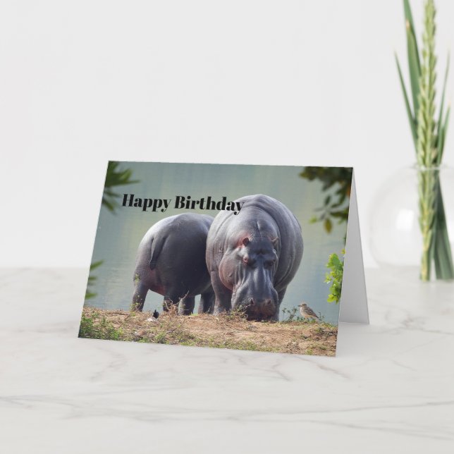 Wildlife Hippo Photo Birthday Kort (Framsida)