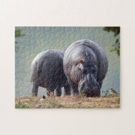 Wildlife Hippo Photo Pussel