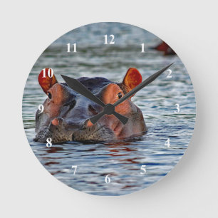 Wildlife Hippo Vatten Photo Rund Klocka