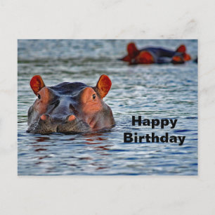 Wildlife Hippo Vatten Photo Vykort