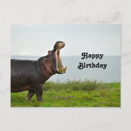 Wildlife Hippopotamus Photo Birthday Vykort