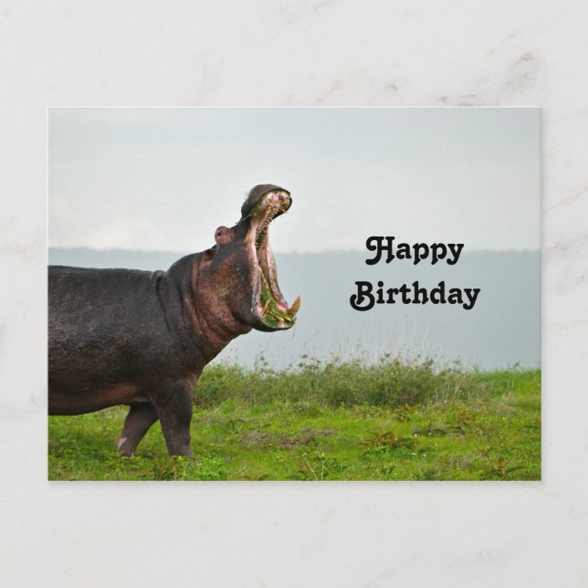 Wildlife Hippopotamus Photo Birthday Vykort (Framsida)