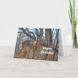 Wildlife Hjort Photo Birthday Kort