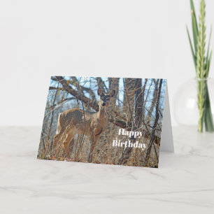 Wildlife Hjort Photo Birthday Kort