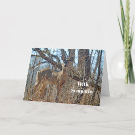 Wildlife Hjort Photo Sympathy Kort