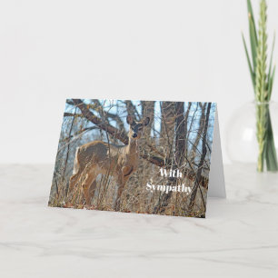 Wildlife Hjort Photo Sympathy Kort