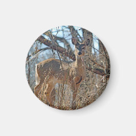 Wildlife Hjort Skogen Photo Magnet