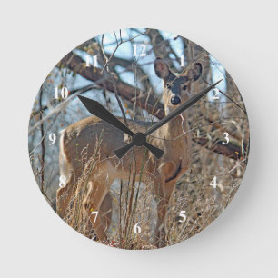 Wildlife Hjort Skogen Photo Rund Klocka