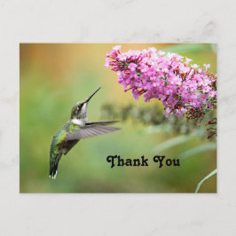 Wildlife Hummingbird Blommigt Photo Tack Vykort