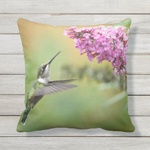 Wildlife Hummingbird Blommigt Photo Utomhuskudde
