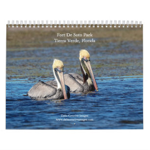 Wildlife i Fort De Soto Park 2026 Kalender